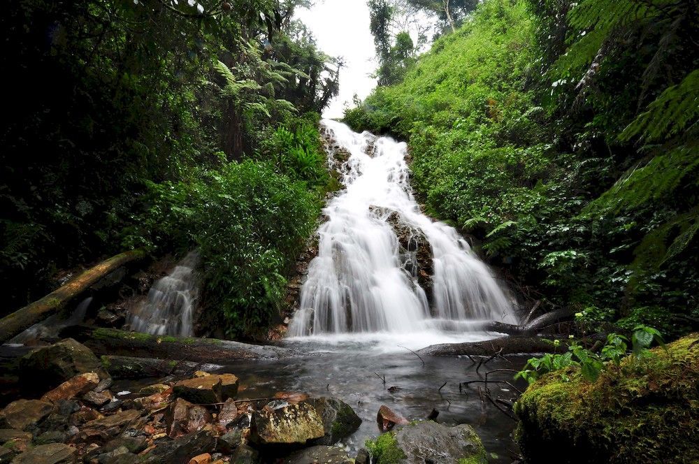 Sanctuary Gorilla Forest Camp Hotell Ntungamo  Exteriör bild