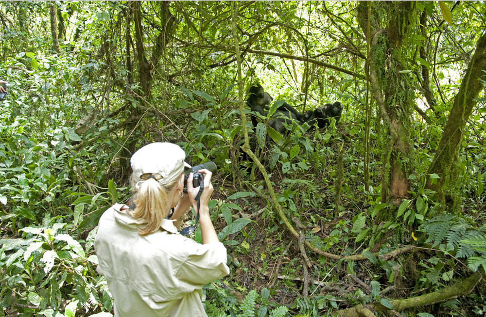 Sanctuary Gorilla Forest Camp Hotell Ntungamo  Exteriör bild